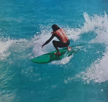 サーフィン・ボディボード Wilderness Hull Stubbies Twin 6'10\" WILDERNESS/HULL STUBBIES 6'10